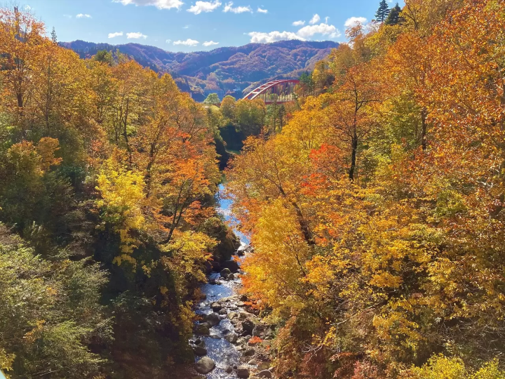 鱼沼秋天赏枫！五大必去景点推荐，从热门到秘境通通告诉你！