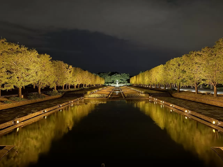 Tokyo Showa Kinen Park: Yellow and Red Leaves Festival 2025