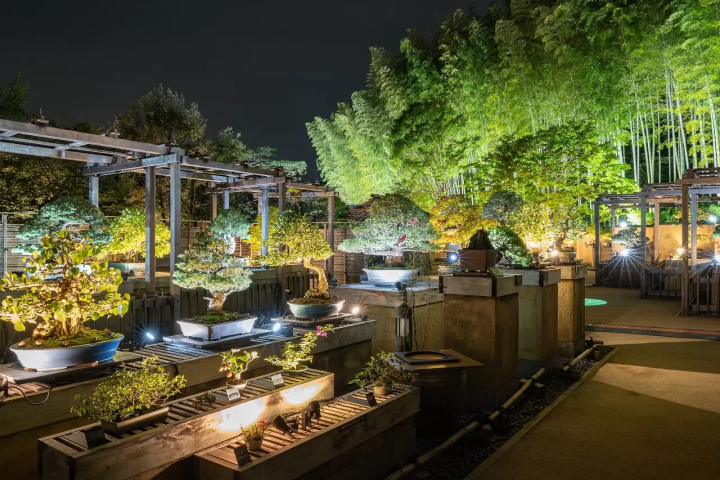 Tokyo Showa Kinen Park: Yellow and Red Leaves Festival 2025