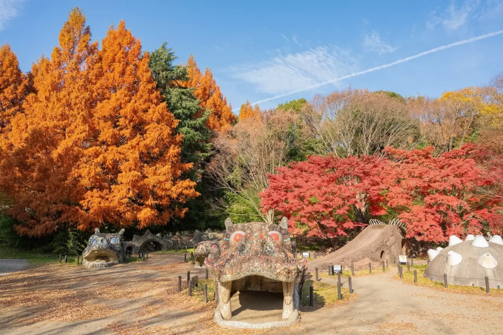 Tokyo Showa Kinen Park: Yellow and Red Leaves Festival 2025