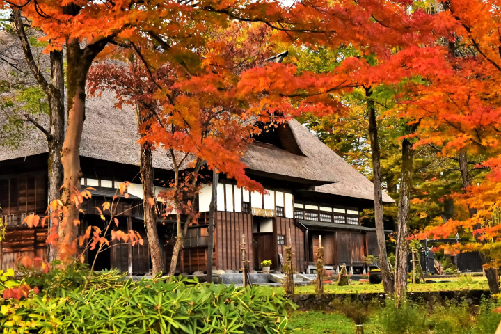 鱼沼秋天赏枫！五大必去景点推荐，从热门到秘境通通告诉你！