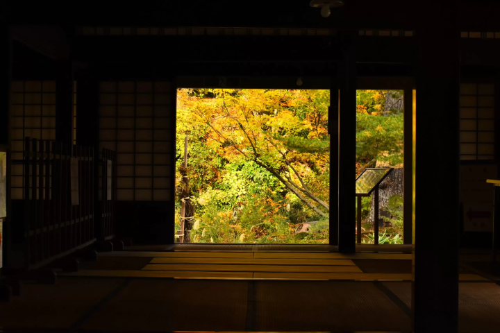 鱼沼秋天赏枫！五大必去景点推荐，从热门到秘境通通告诉你！