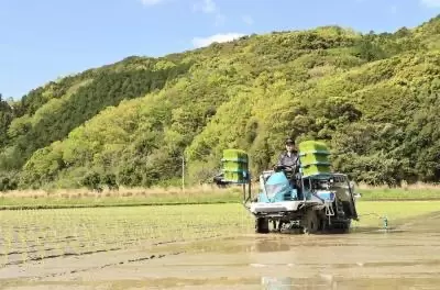 [Ipponmatsu, Ainan Town] The southernmost point of the southernmost point