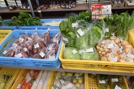 [Ipponmatsu, Ainan Town] The southernmost point of the southernmost point