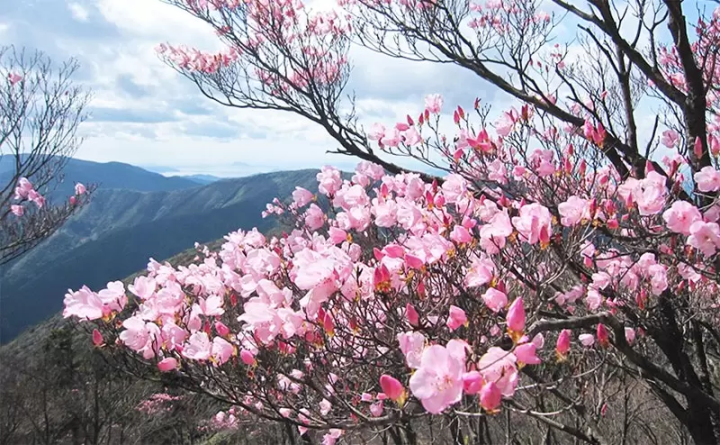 [Ipponmatsu, Ainan Town] The southernmost point of the southernmost point