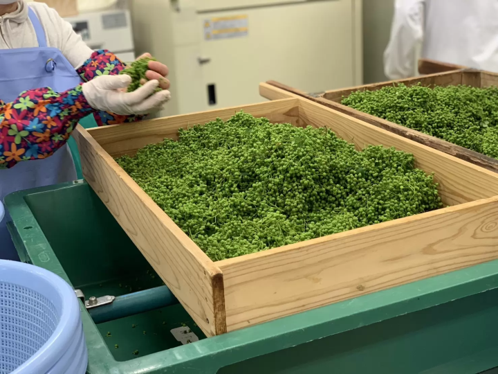 【11月9日（星期日）举办】在“YABU Food EXPO”品尝养父市的美食！