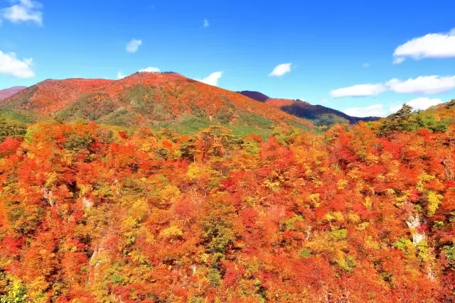 Naruko Onsen: A stroll through the spectacular autumn foliage! 5 recommended spots and information on the best time to see them