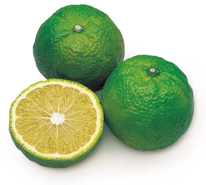 照片提供:和歌山縣觀光聯盟<br>