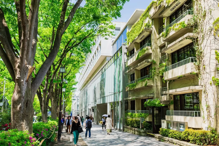 Aoyama Things to Do: Shopping, Dining, Art, Tokyo Nightlife