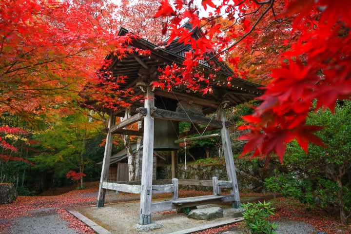 Fall foliage spots in Matsusaka City, Mie Prefecture : Kahadakyo area