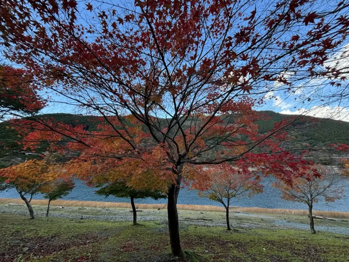 Fall foliage spots in Matsusaka City, Mie Prefecture : Kahadakyo area