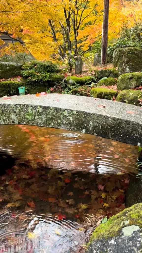 Fall foliage spots in Matsusaka City, Mie Prefecture : Kahadakyo area