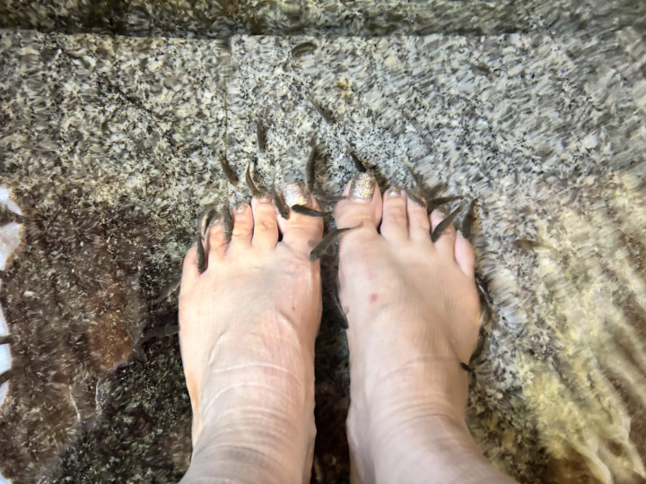 [Hiroshima] A Hidden Onsen Retreat 1 Hour from the City: Discover the Nostalgic "Yuki & Yunoyama" Hot Spring Village