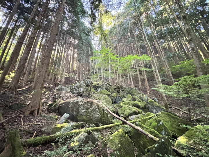 广岛小众秘境:汤来·汤之山温泉!集自然、美食、体验于一体的治愈一日游