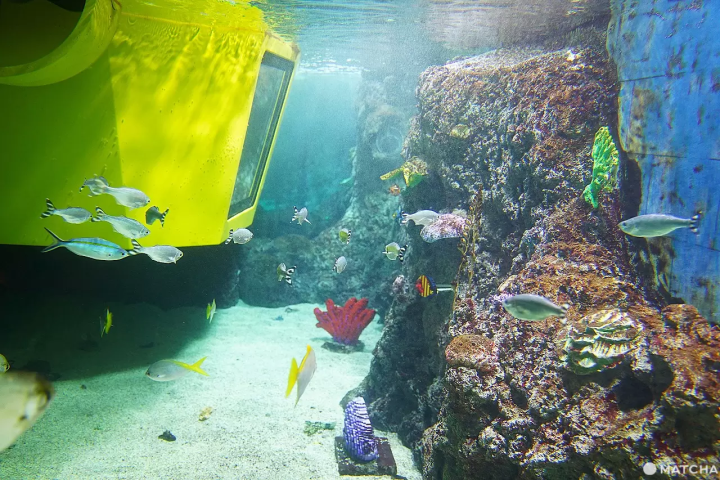 Legoland Japan Submarine Adventure