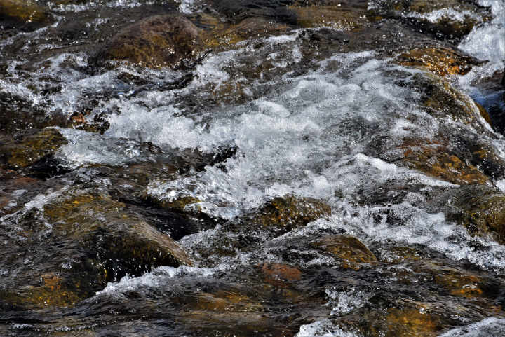 鱼沼产越光米有多美味？推荐9家当地必买米店！