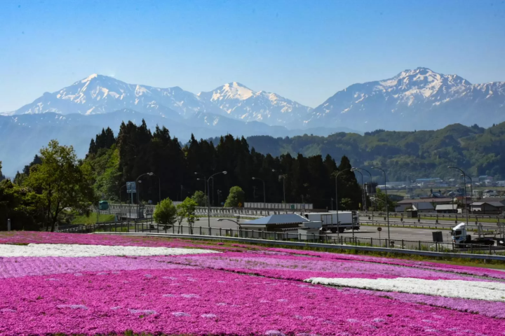 เกี่ยวกับ เมืองอุโอนุมะ