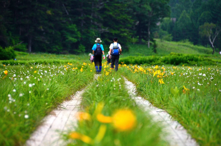 เกี่ยวกับ เมืองอุโอนุมะ