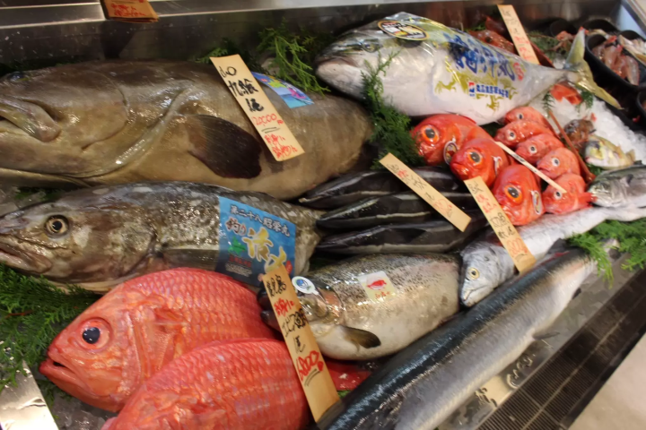 Just 30 minutes by express train from Meitetsu Nagoya Station! "Uo Ichiban," supervised by Kimagure Cook, has opened in Tokoname!