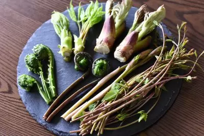 เกี่ยวกับ เมืองอุโอนุมะ