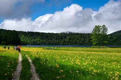 เกี่ยวกับ เมืองอุโอนุมะ