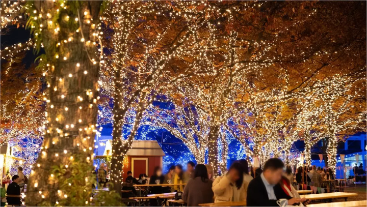 Fukuoka: Heartwarming Winter Illuminations in 2025