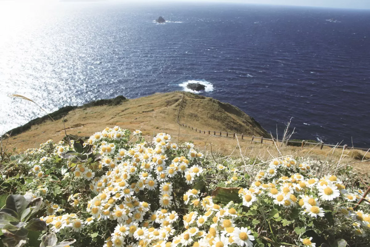 [To the Southernmost Scenic Spot in Shikoku] A once-in-a-lifetime experience is here