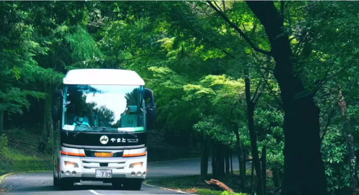 [2025 Update] Go directly to Mount Wakakusa! Take a bus to Nara's scenic spots