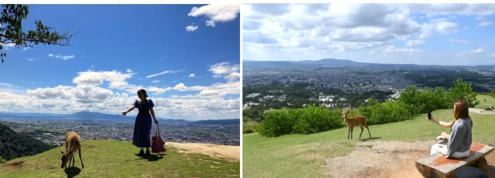 [2025 Update] Go directly to Mount Wakakusa! Take a bus to Nara's scenic spots