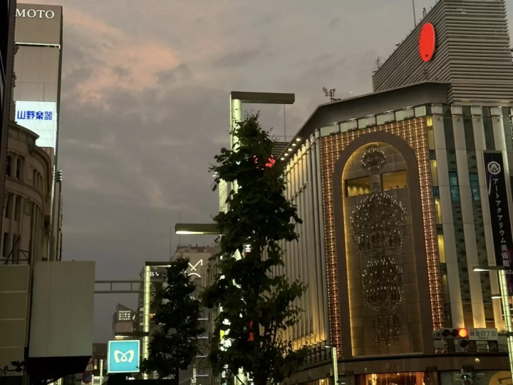 Must-Visit Spots in Tokyo(East Tokyo Tourism) | Introducing Must-Visit Places
