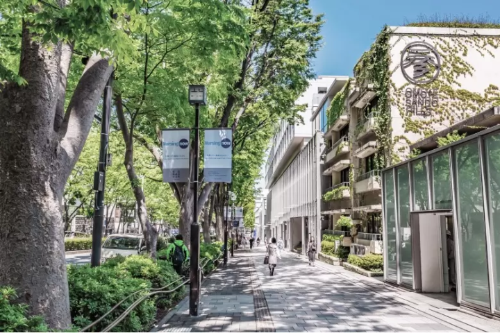 Omotesando
