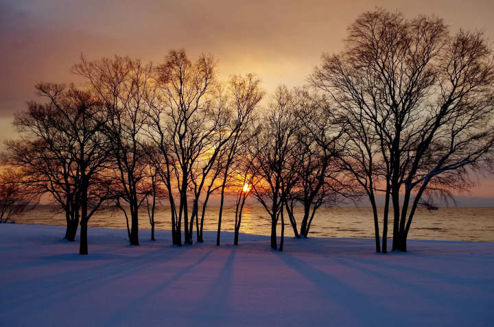 Where to Ski Near Kyoto: Ogoto Onsen, a Hidden Gem for Winter Travelers