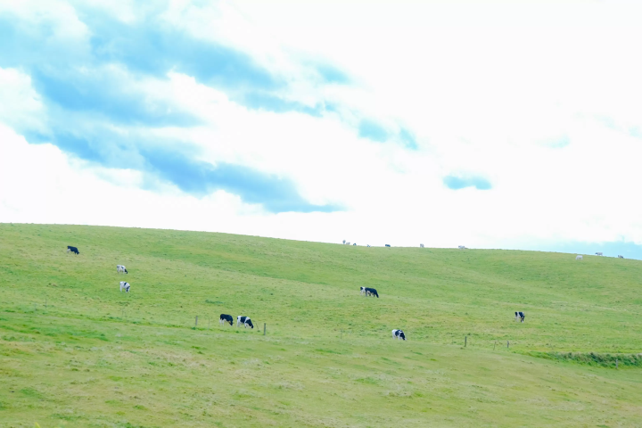 최북단 온천향! 홋카이도 도요토미초에서 즐기는 최고의 '오일 목욕' 체험. 추천 명소 & 숙소 소개