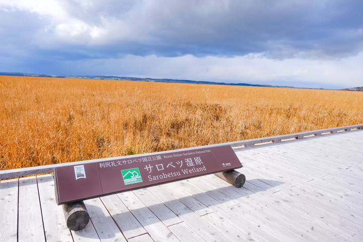 최북단 온천향! 홋카이도 도요토미초에서 즐기는 최고의 '오일 목욕' 체험. 추천 명소 & 숙소 소개