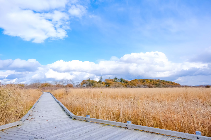 최북단 온천향! 홋카이도 도요토미초에서 즐기는 최고의 '오일 목욕' 체험. 추천 명소 & 숙소 소개