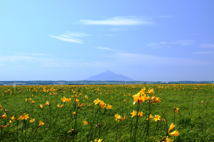 최북단 온천향! 홋카이도 도요토미초에서 즐기는 최고의 '오일 목욕' 체험. 추천 명소 & 숙소 소개