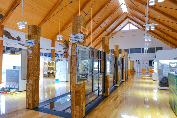 최북단 온천향! 홋카이도 도요토미초에서 즐기는 최고의 '오일 목욕' 체험. 추천 명소 & 숙소 소개