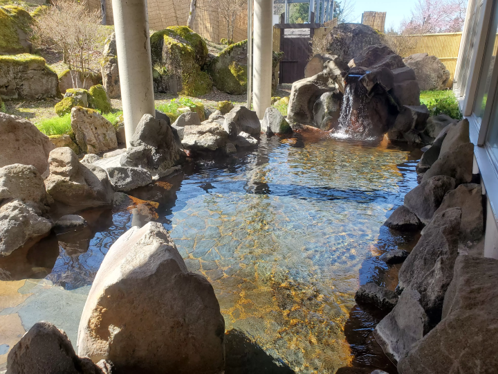 미지의 영역으로! JR 다다미