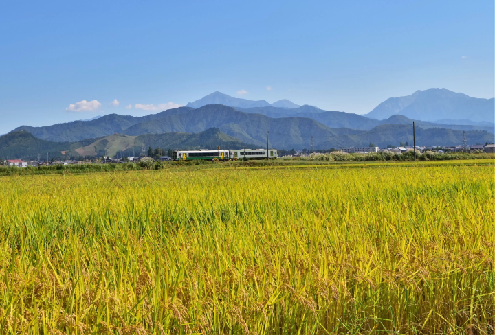 미지의 영역으로! JR 다다미