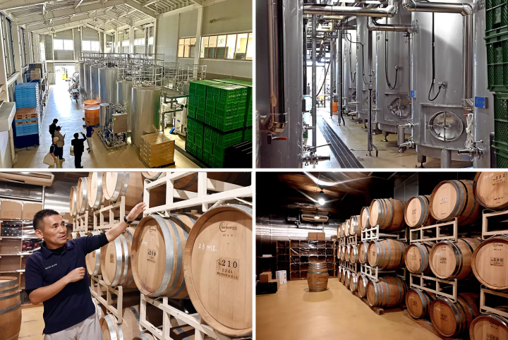 You can take a tour of the vineyards and winery with the staff's guidance. 