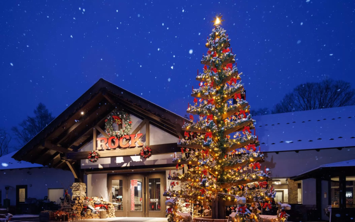 山梨県北杜市で楽しむ、フォットジェニックなクリスマススポット4選