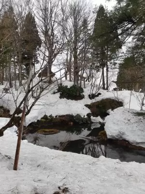 우오누마시 에서 가장 부유한 농가 중 한 곳인 메구로 저택. 파워 스팟이기도 했습니다!