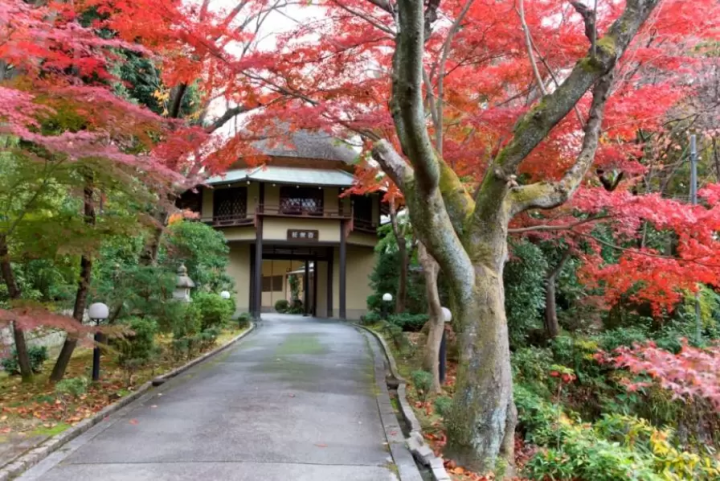 (Latest) Introducing Nara's traditional Japanese restaurant "Hyakurakuso," perfect for celebrations and special occasions!