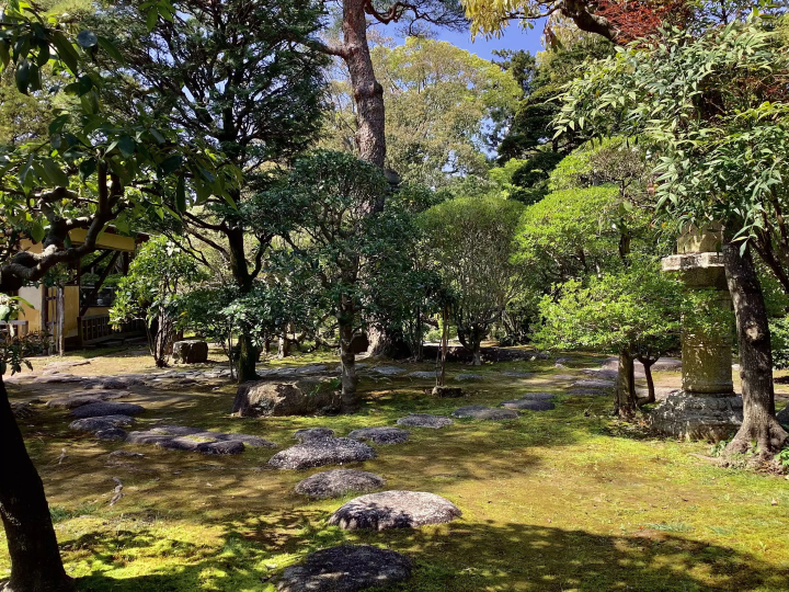 Tea with Traditional Confections and a Fall Illumination at the Former Hasegawa Residence