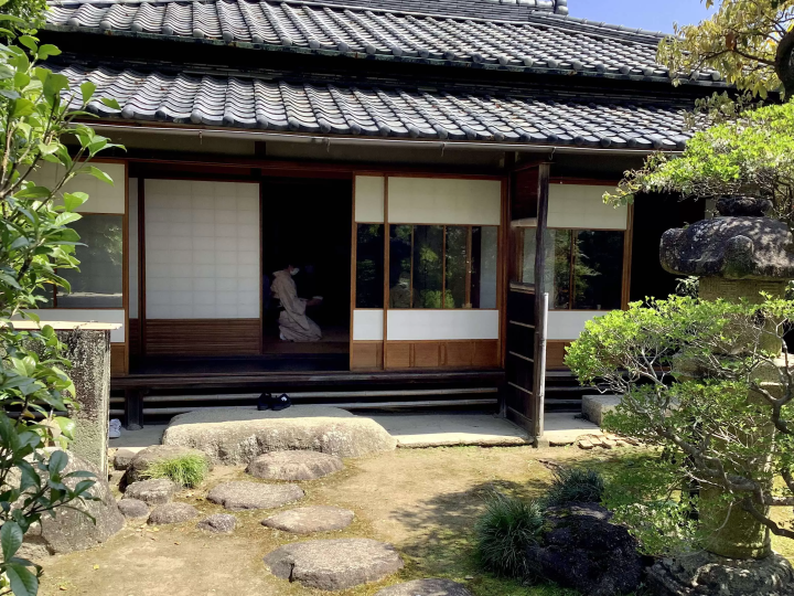 Tea with Traditional Confections and a Fall Illumination at the Former Hasegawa Residence