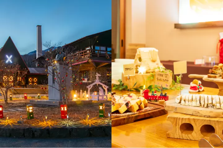 4 Photogenic Christmas Spots to Enjoy in Hokuto City , Yamanashi Prefecture