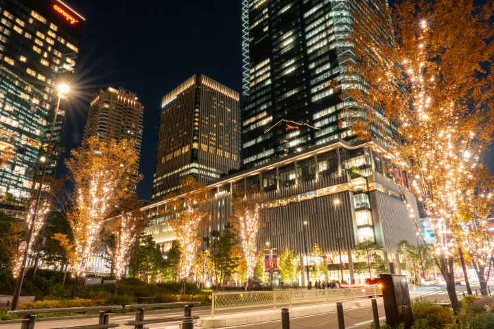 Champagne Gold Illumination in UMEKITA