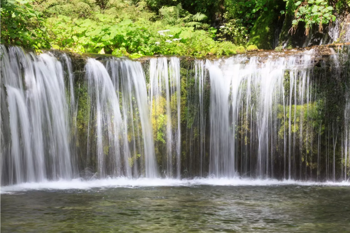 [Karuizawa, Kusatsu, and Manza] Winter Highland Resort Trip from Tokyo - Enjoy Hot Springs, Nature, and Fine Cuisine