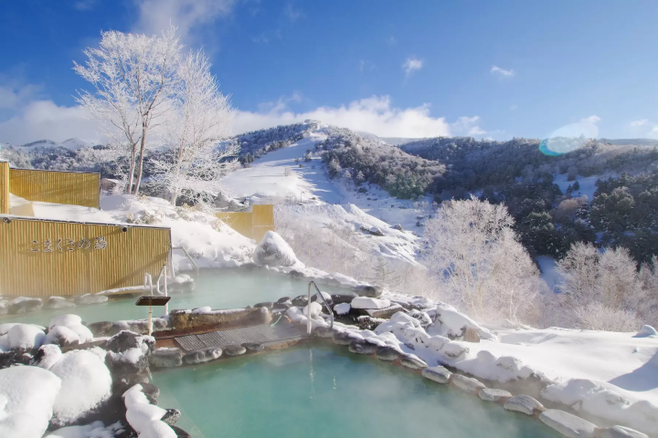 [Karuizawa, Kusatsu, and Manza] Winter Highland Resort Trip from Tokyo - Enjoy Hot Springs, Nature, and Fine Cuisine