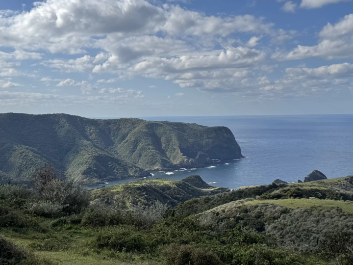 【Must-See】Nishinoshima in Autumn: Our Seasonal Colours